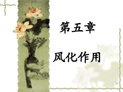 05第五章风化作用