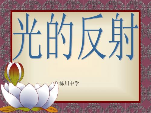 光的反射定律