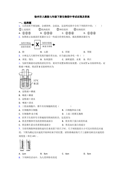 徐州市人教版七年级下册生物期中考试试卷及答案