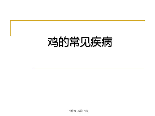 鸡常见传染病精品课件
