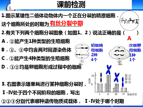 人教版必修二生物自由组合定律复习课件PPT