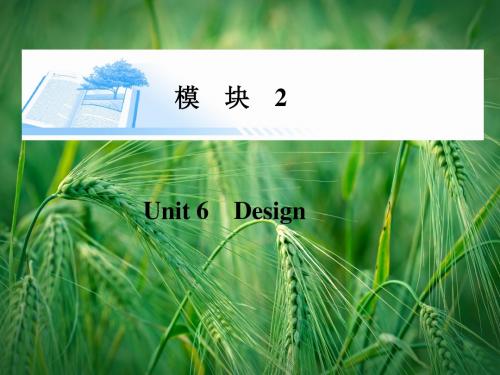 6 Design精讲课件 北师大版必修2课件
