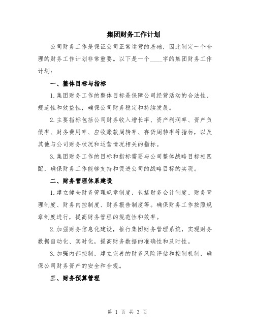 集团财务工作计划