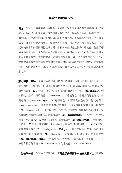 花卉栽培学教案26-鬼背竹的栽培技术