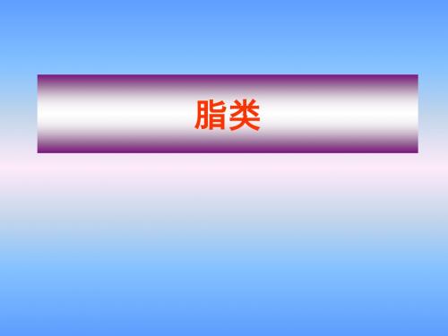 脂类 碳水化合物.