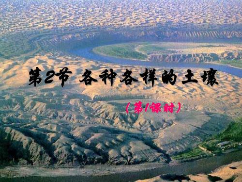 粉砂粒黏粒