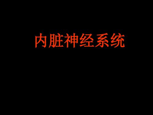 内脏神经PPT幻灯片课件