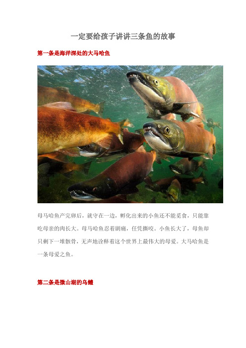 一定要给孩子讲讲三条鱼的故事