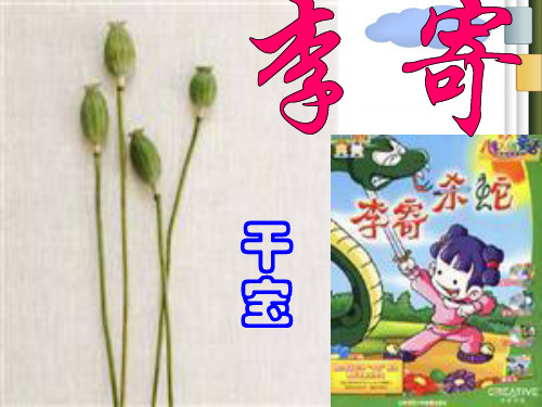 李寄ppt7 鲁教版