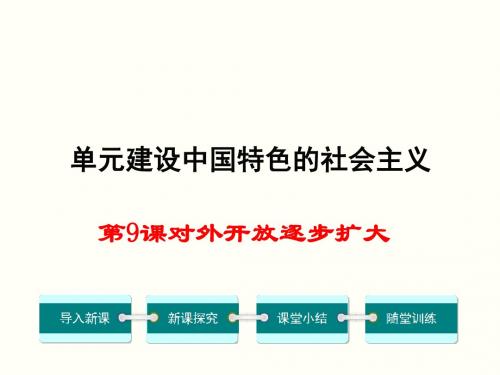 对外开放逐步扩大ppt3