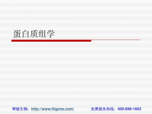蛋白质组学
