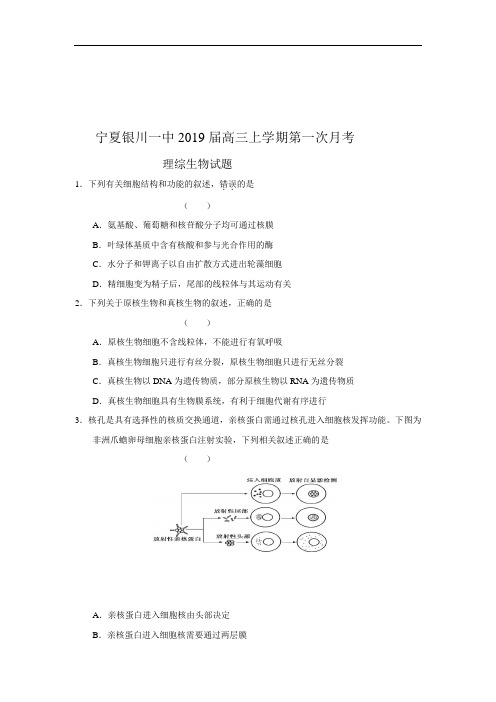 宁夏银川一中2019届高三上学期第一次月考理综生物试题