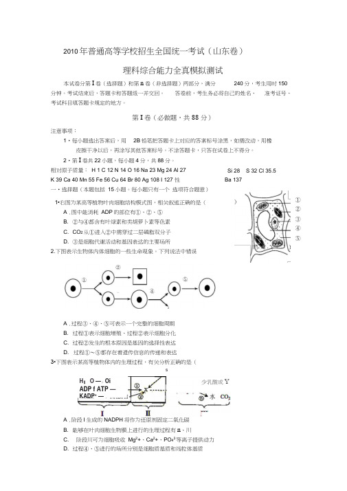 理综卷_届山东省莘县实验高中高三全真模拟试题(.06)