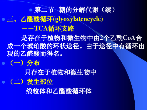 0409糖代谢-3乙醛酸循环3