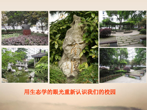 浙教版科学《生物群落》ppt1
