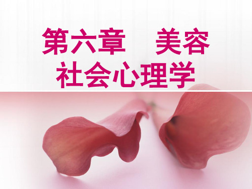 美容心理学第6章 美容社会心理学