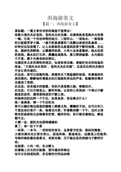 洱海游美文