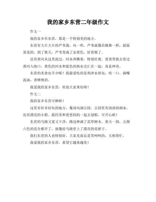 我的家乡东营二年级作文