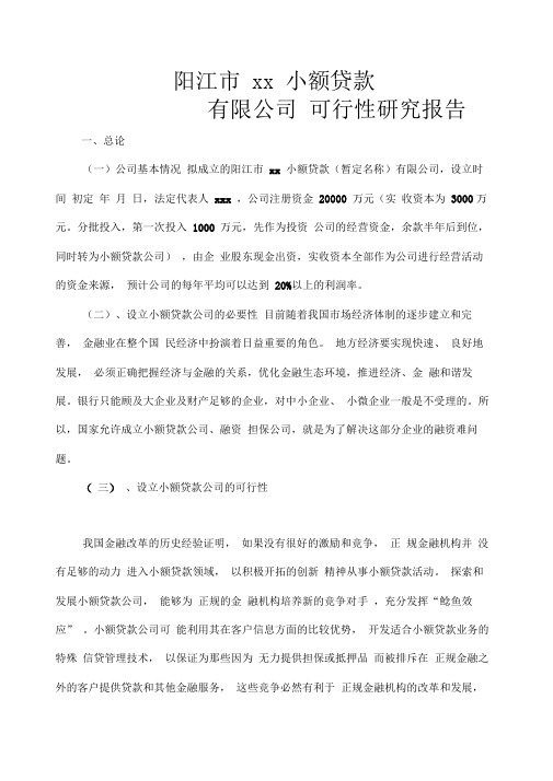 小额贷款公司项目可行性研究分析报告