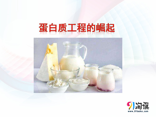 课件13：1.4 蛋白质工程的崛起