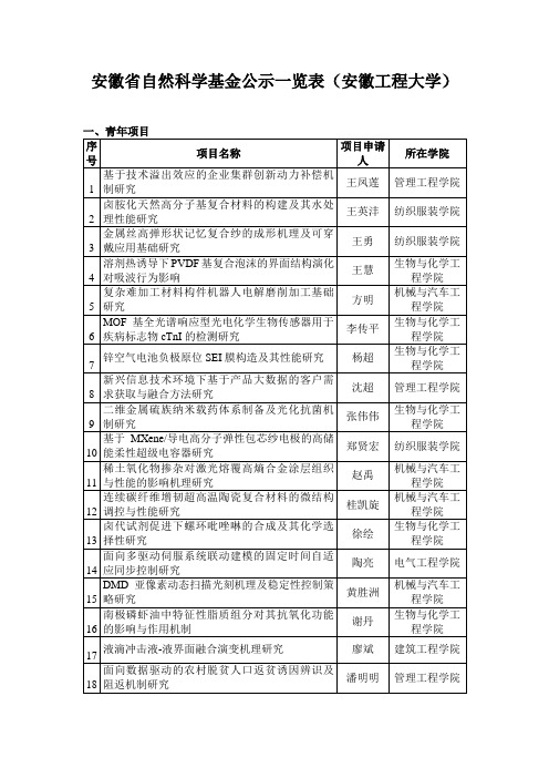 安徽省自然科学基金公示一览表【模板】