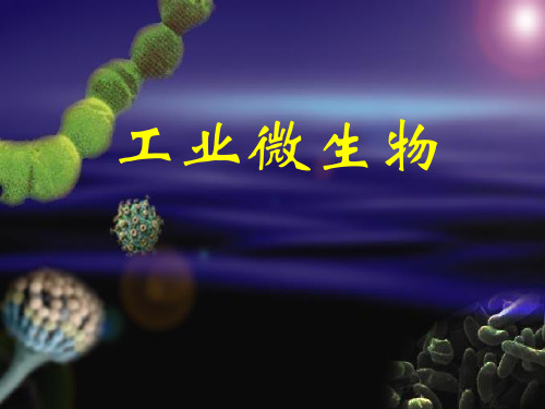 (推荐)《微生物的菌种选育》PPT课件