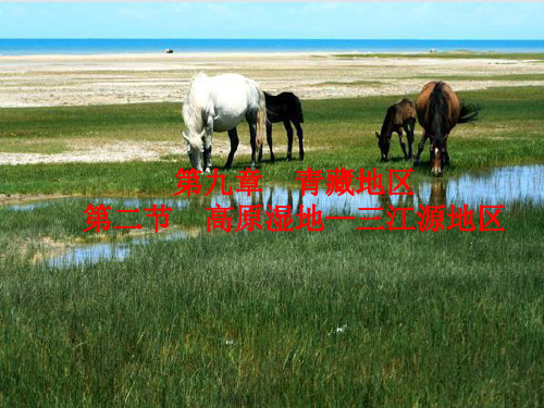 人教版八下地理 高原湿地 三江源地区 (完整版)PPT 2