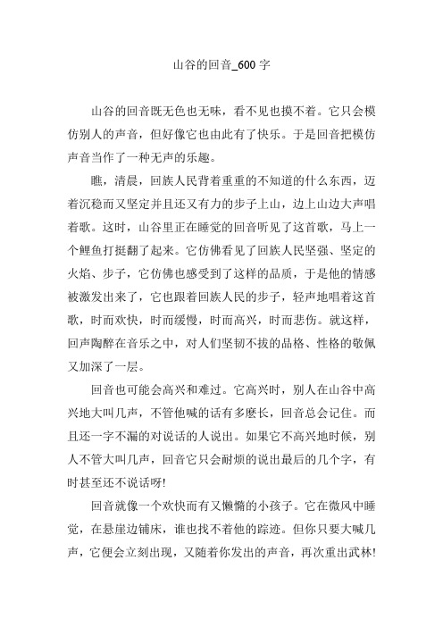 山谷的回音_600字