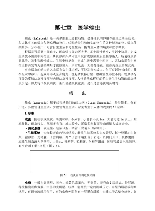 07第七章  医学蠕虫