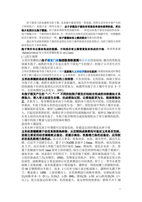 玉米丝黑穗病