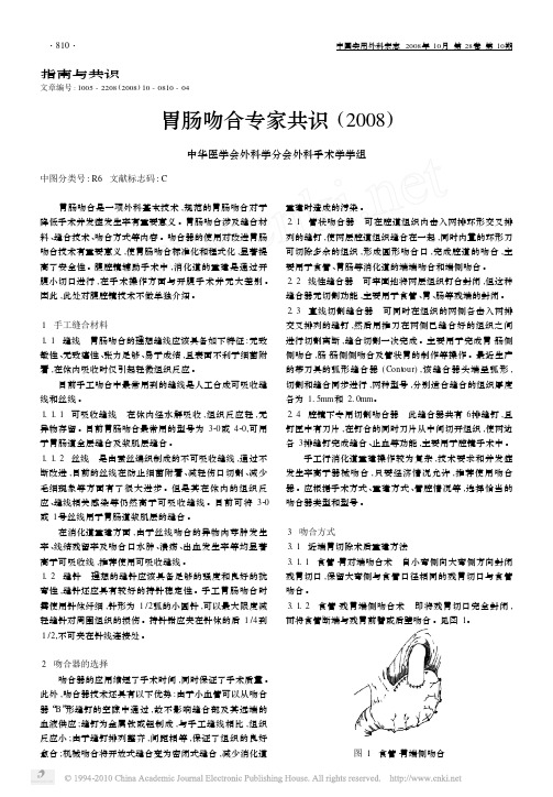 胃肠吻合专家共识_2008_