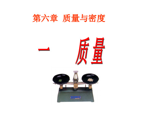人教版《质量》ppt课件