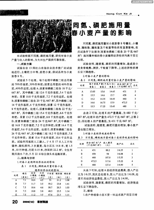 不同氮、磷肥施用量对春小麦产量的影响