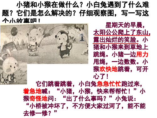 看图写话：小猪和小猴