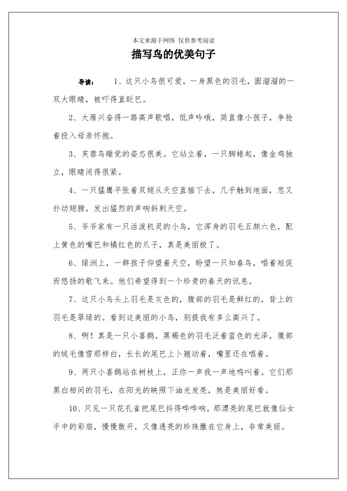 描写鸟的优美句子