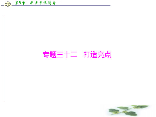 《南方新课堂·高考总复习》语文(广东专用)一轮复习课件第四部分 专题三十二 打造亮点