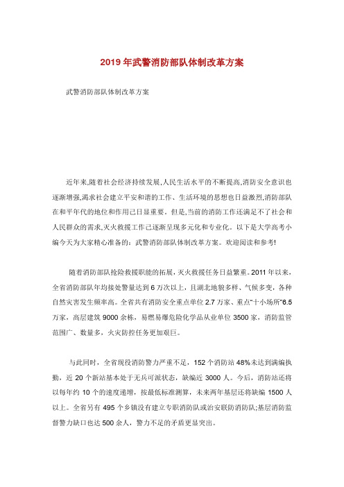 武警消防部队体制改革方案.doc