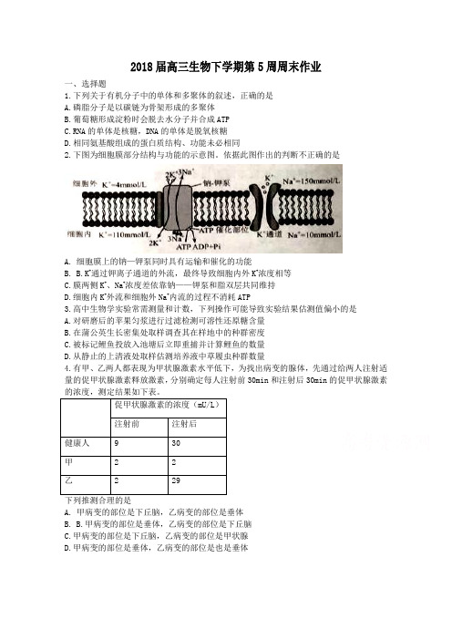 2018届华美实验学校高三生物(下学期)第5周周末作业