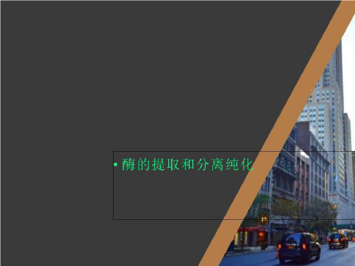 酶的提取和分离纯化