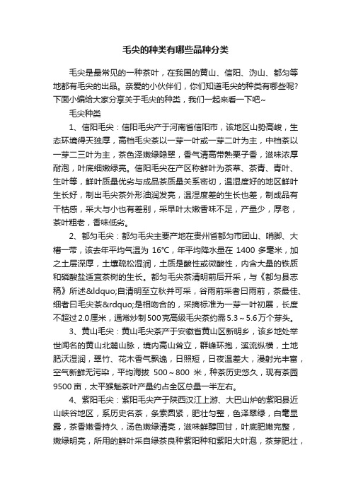 毛尖的种类有哪些品种分类