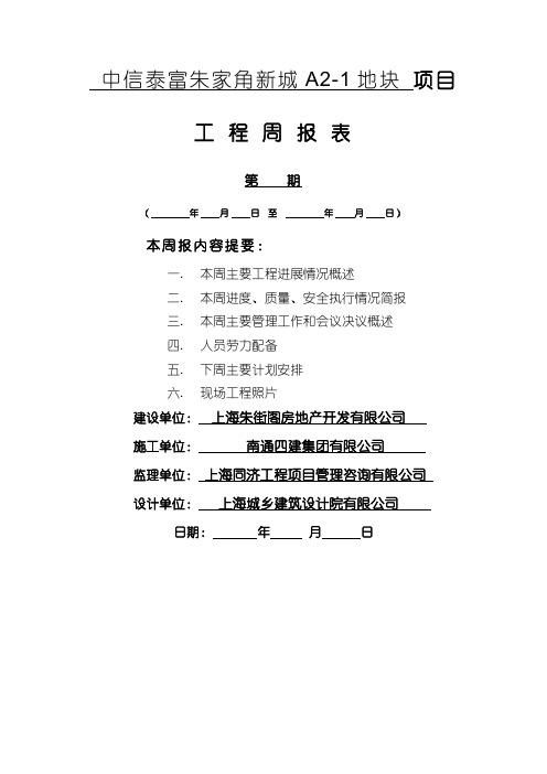 工程周报表模板 