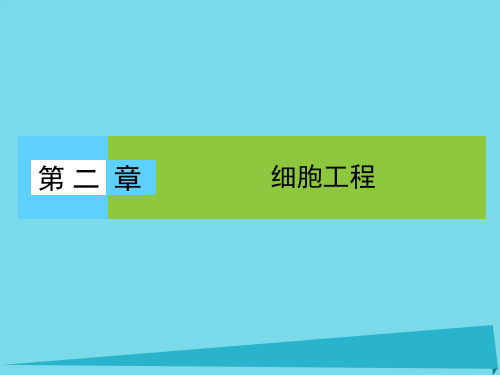 高中生物第二章细胞工程第1节细胞工程概述课件苏教版选修320171012432
