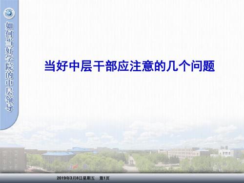 高校教师辅导讲稿：当好中层干部应注意的几个问题-PPT课件