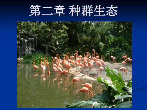 生态学 第三章   种群生态