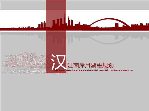 武汉龟北地区城市设计汇报