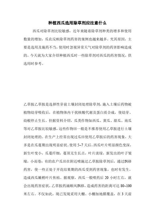 种植西瓜选用除草剂应注意什么.doc