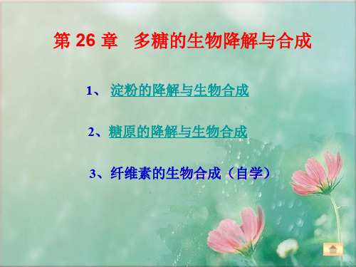 糖原分解和生物合成