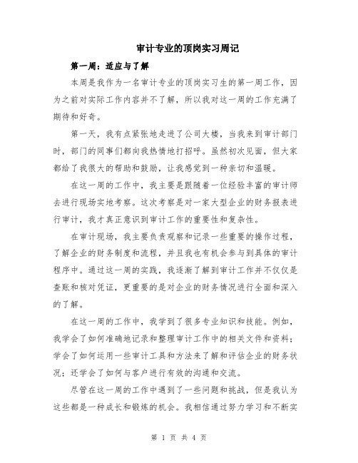 审计专业的顶岗实习周记