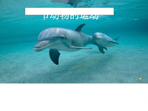动物的运动PPT课件32 济南版