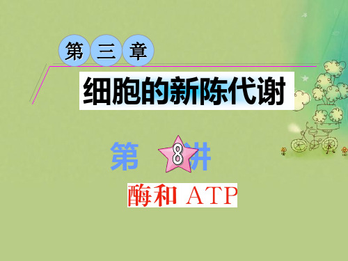 酶和atpPPT教学课件